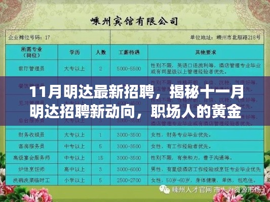 揭秘十一月明達(dá)最新招聘動(dòng)向，職場(chǎng)黃金機(jī)會(huì)來(lái)臨