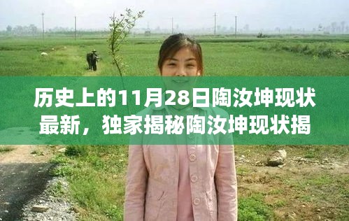 獨家揭秘陶汝坤現(xiàn)狀，歷史傳奇與今日科技巨擘的碰撞，探索最新高科技產品之旅。