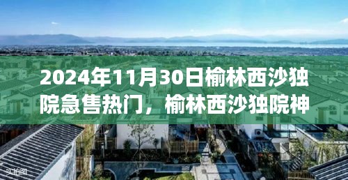 榆林西沙獨院急售背后的美食寶藏與獨特故事揭秘