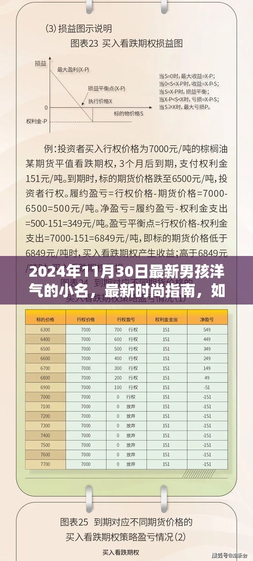 2024時(shí)尚指南，男孩洋氣小名精選，起名靈感大揭秘