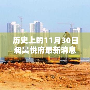 展翅欲飛 第5頁
