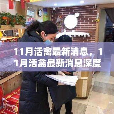 11月活禽最新消息深度解析與評測介紹