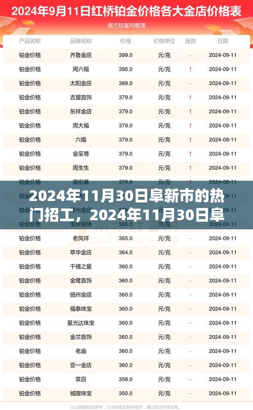 2024年11月30日阜新市熱門招工全景解析