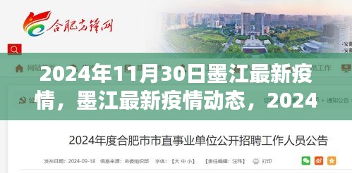 2024年11月30日墨江最新疫情，墨江最新疫情動態(tài)，2024年11月30日深度解析