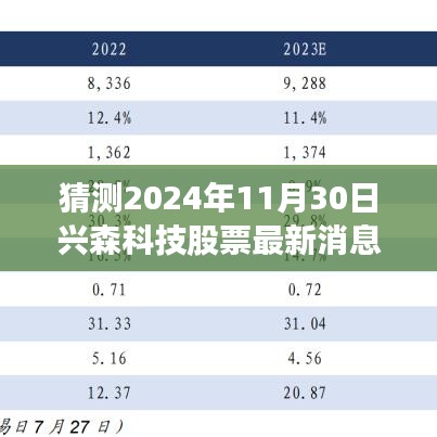 興森科技股票最新消息展望，行業(yè)洞察與未來展望至2024年11月30日