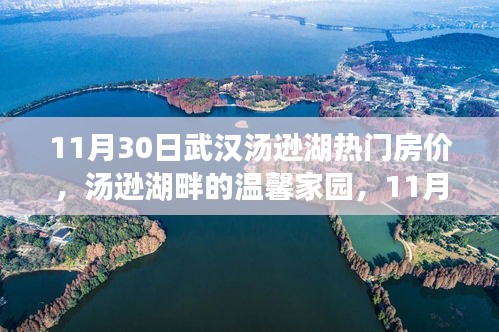 湯遜湖畔的溫馨家園，武漢湯遜湖熱門房價(jià)探秘與友情故事