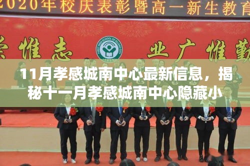 揭秘十一月孝感城南中心隱藏小巷的獨(dú)特小店，最新信息與探索