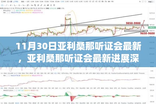 亞利桑那聽證會最新進展深度解析（11月30日版，最新消息與解析）