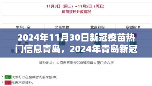 青島新冠疫苗最新動(dòng)態(tài)與熱點(diǎn)解析，2024年疫苗進(jìn)展及熱點(diǎn)信息解讀