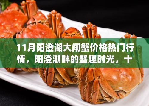 11月陽澄湖大閘蟹情緣，湖畔蟹趣與熱門行情解析