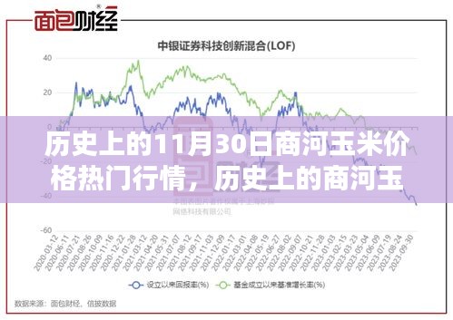 商河玉米價格行情解析，歷史走勢與未來預(yù)測指南