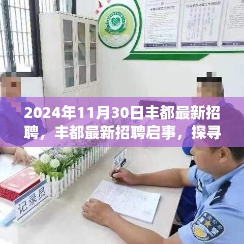 豐都最新招聘啟事，探尋職場新機遇，共赴未來之旅之旅（2024年11月30日）