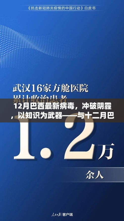 與十二月巴西最新病毒共舞，挑戰(zhàn)與機(jī)遇并存，知識為武器沖破陰霾