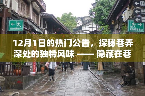 探秘巷弄深處的獨特風(fēng)味，秘密小店揭秘