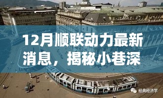 揭秘隱藏版特色小店，順聯(lián)動力下的驚喜邂逅（最新消息）