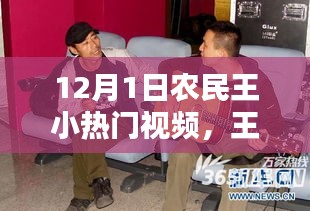 12月暖陽(yáng)下的歡樂(lè)田野，王小農(nóng)民的趣味日常