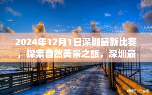 深圳最新比賽，探索自然美景之旅，尋找內(nèi)心平靜的奇妙旅程啟幕于2024年12月1日