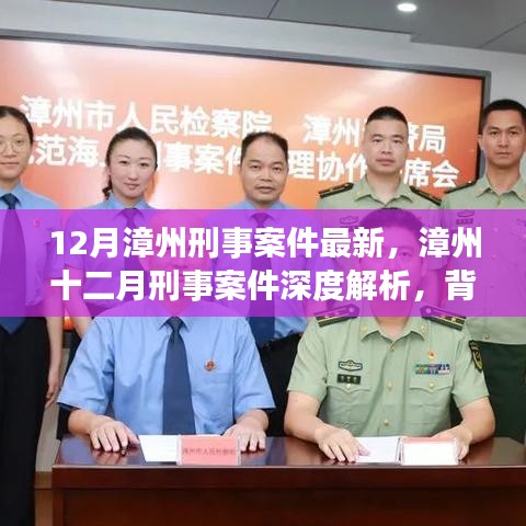 漳州十二月刑事案件深度解析，背景、進(jìn)展與影響全解析