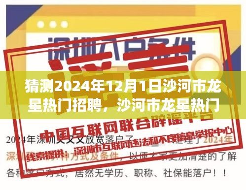 沙河市龍星熱門招聘展望，深度測評與未來趨勢預(yù)測（2024年）
