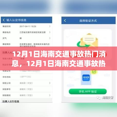 海南交通事故最新消息深度解析與關注安全出行