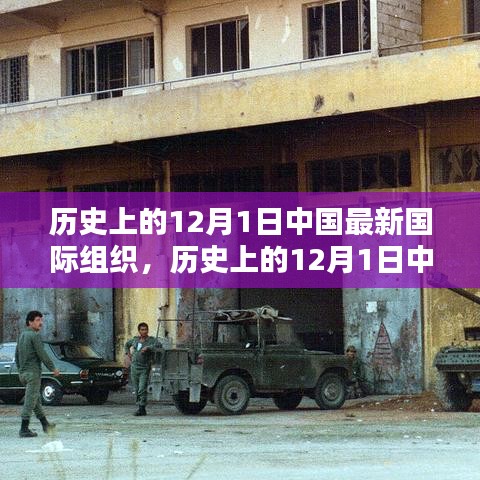 歷史上的12月1日中國最新國際組織，深度評測、特性、體驗與競品對比