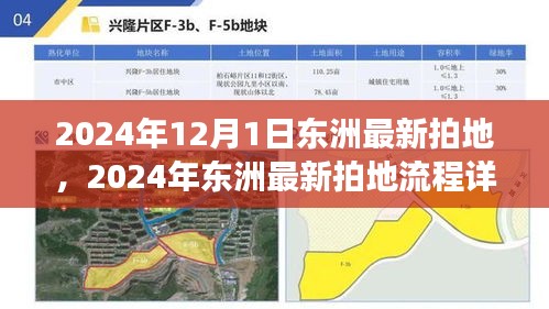 東洲最新拍地流程詳解，從零起步到成功競(jìng)拍的完整指南（2024年）