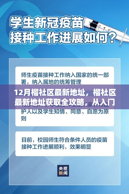 榴社區(qū)最新地址獲取全攻略，從入門到精通的步驟指南