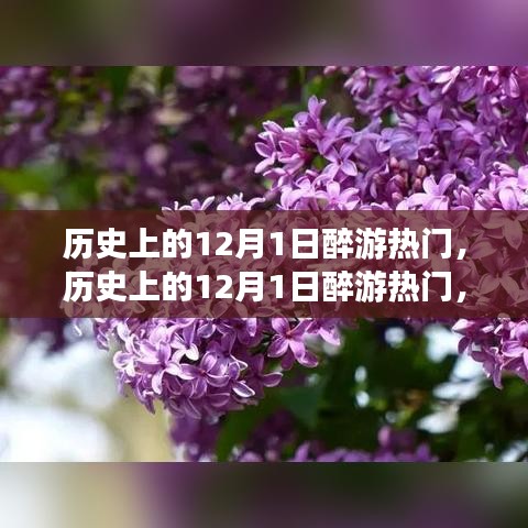 歷史上的醉游熱門(mén)日，全面評(píng)測(cè)與介紹，帶你重溫十二月一日的足跡