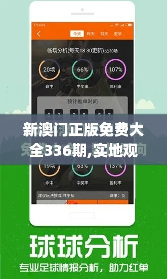 新澳門正版免費大全336期,實地觀察解釋定義_UNN89.570超級版