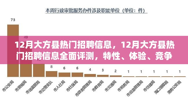 12月大方縣熱門(mén)招聘信息詳解，特性、體驗(yàn)、競(jìng)爭(zhēng)分析與目標(biāo)用戶(hù)群體全面剖析