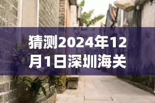 深圳海關(guān)新動態(tài)下的美食寶藏，揭秘小巷深處的獨特風味與最新消息猜測（2024年12月1日）