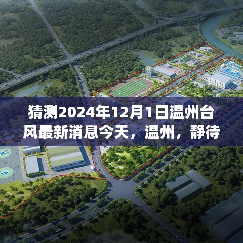 溫州臺風最新消息，探索自然，尋找內(nèi)心的寧靜之旅（預測2024年12月1日）