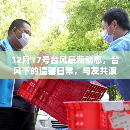 臺(tái)風(fēng)下的溫馨日常，特殊時(shí)刻與朋友共度時(shí)光的最新動(dòng)態(tài)