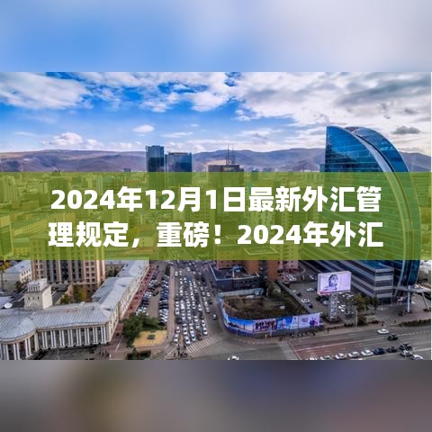 重磅！2024年外匯管理新規(guī)出爐，詳解最新規(guī)定及變化