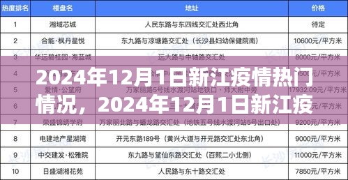 2024年12月1日新江疫情熱門情況詳解與應(yīng)對指南，初學(xué)者與進(jìn)階用戶必備知識