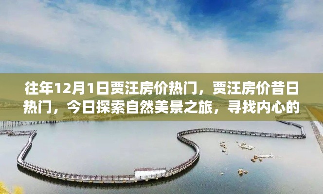 賈汪房?jī)r(jià)昔日熱門背后的自然美景探索之旅，內(nèi)心平靜與喜悅的追尋
