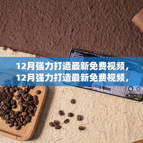 12月最新免費視頻全面評測與介紹