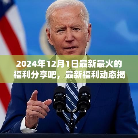 揭秘2024年12月1日盛行的三大福利盛宴，最新福利動態(tài)分享