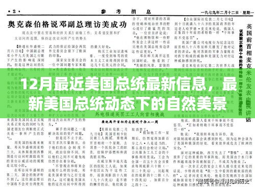 最新美國總統(tǒng)動態(tài)下的自然探索之旅，尋找內(nèi)心的寧靜與平和