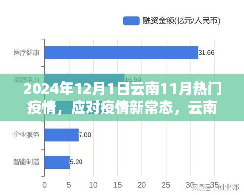 云南熱門疫情應(yīng)對(duì)策略指南，初學(xué)者與進(jìn)階用戶必備指南（2024年疫情新常態(tài)下）
