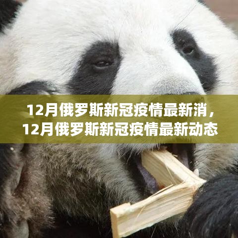 12月俄羅斯新冠疫情最新動(dòng)態(tài)及防控進(jìn)展與前景展望