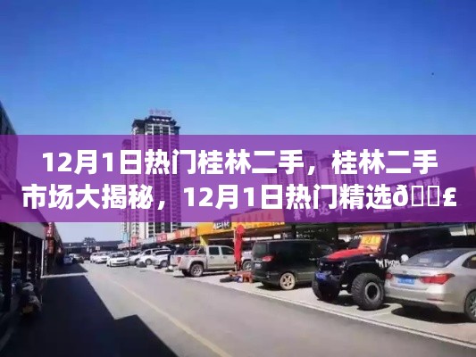揭秘桂林二手市場熱門精選，12月1日熱門桂林二手大放送
