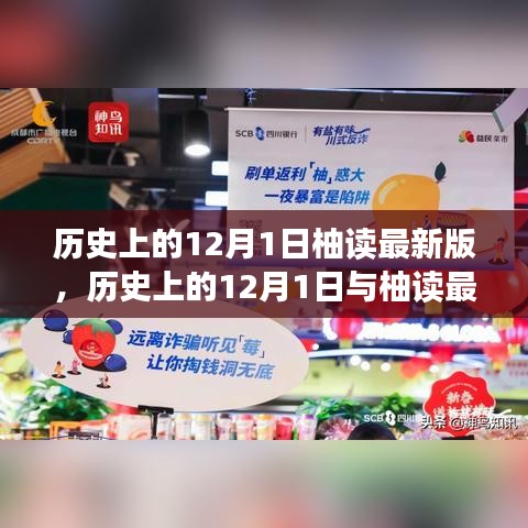 柚讀最新版深度解讀，歷史上的12月1日背后的故事與觀點(diǎn)探討