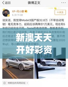 新澳天天開好彩資料大全337期,高效解答解釋定義_Essential82.324-6
