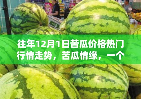 苦瓜情緣，價格走勢下的友情與陪伴故事