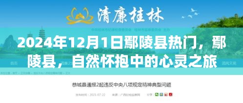 鄢陵縣，自然懷抱的心靈之旅，奇妙探險啟程于2024年12月1日