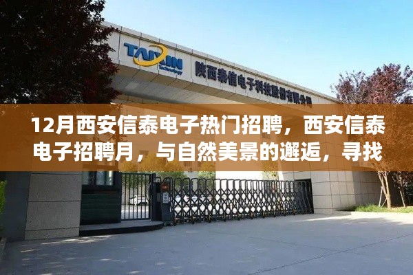 西安信泰電子招聘月，與自然美景相遇，尋找內(nèi)心的平和之旅