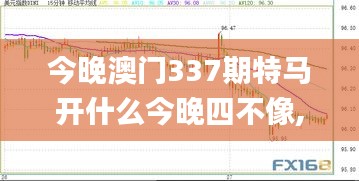 今晚澳門337期特馬開(kāi)什么今晚四不像,定量分析解釋定義_安卓版26.374-5