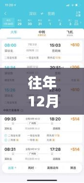 往年12月1日熱門網(wǎng)址探索指南，詳細(xì)步驟帶你一網(wǎng)打盡熱門網(wǎng)站