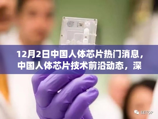 中國人體芯片技術(shù)前沿動態(tài)，深度解讀與觀點碰撞——12月2日最新消息